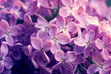 长沙芙蓉区2赎楼担保服务提升房产交易效率